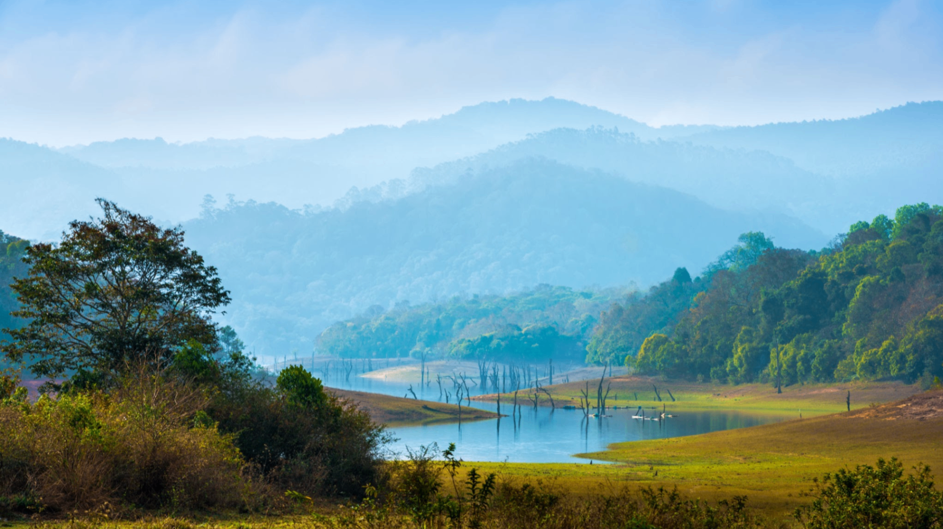 Periyar National Park