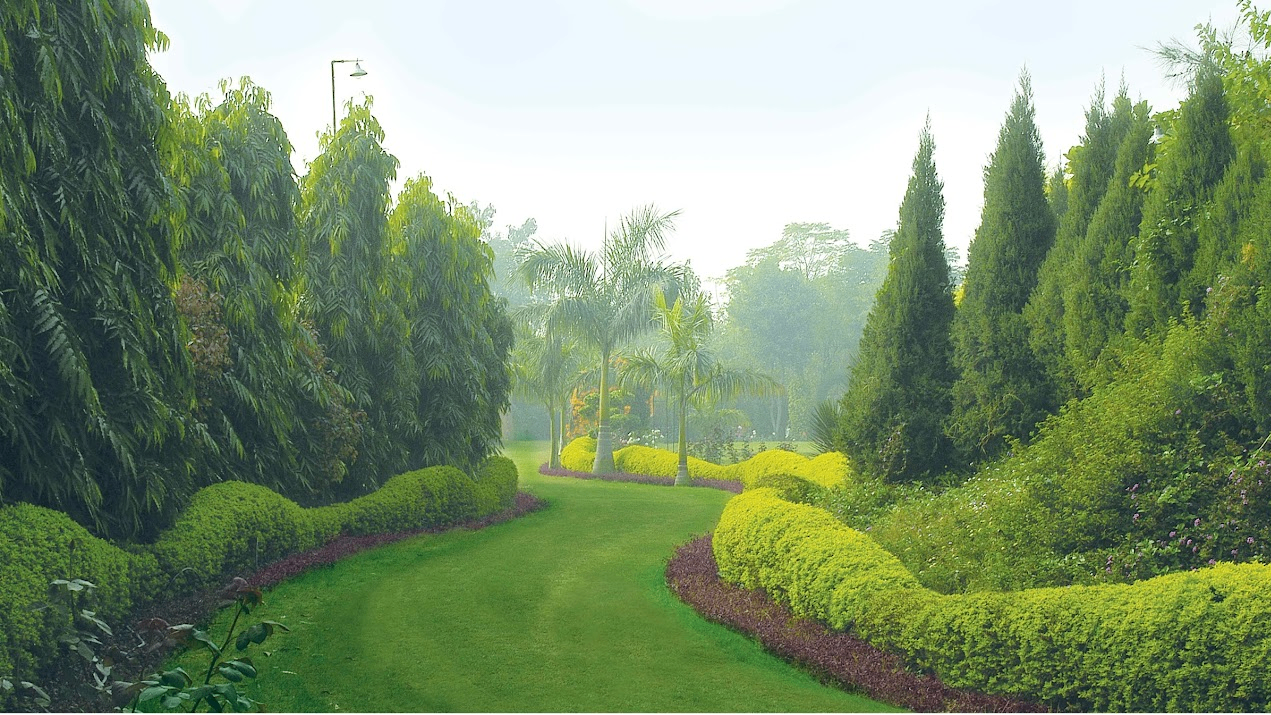 Garden