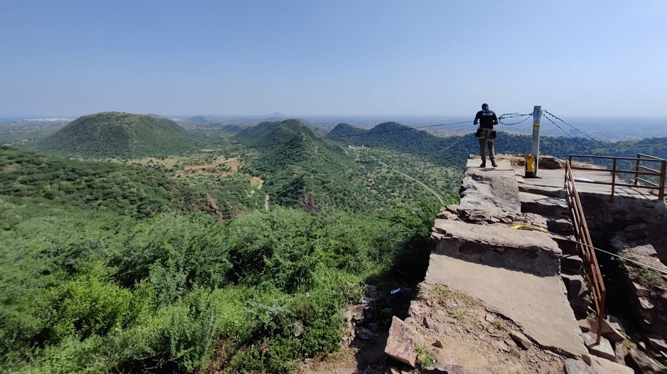 FLYING FOX NEEMRANA