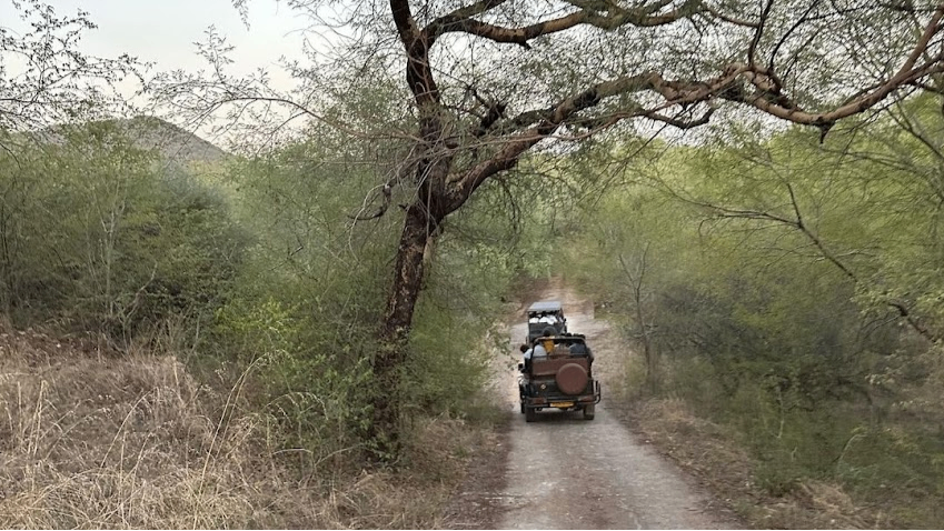 Jhoomar Baori Jungle