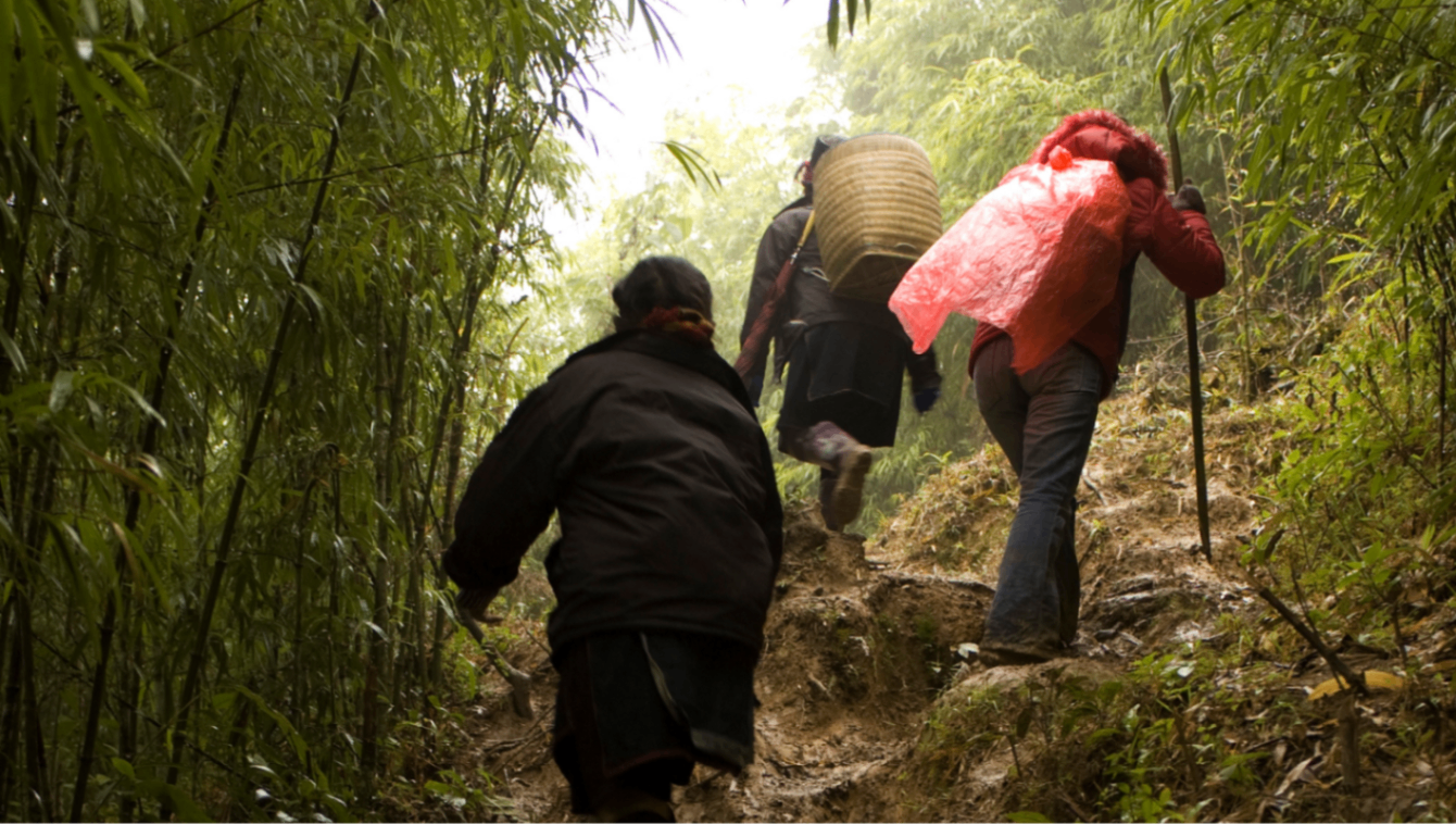 Trekking  