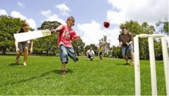 Cricket