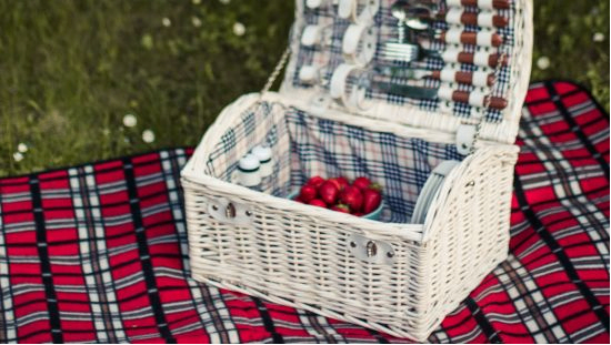 Picnic & Barbeque