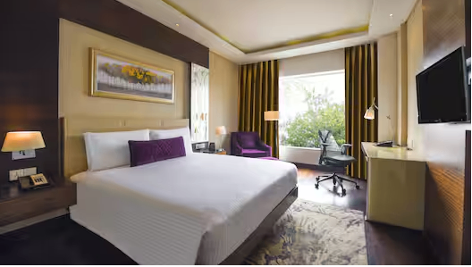 King Bed Deluxe Room