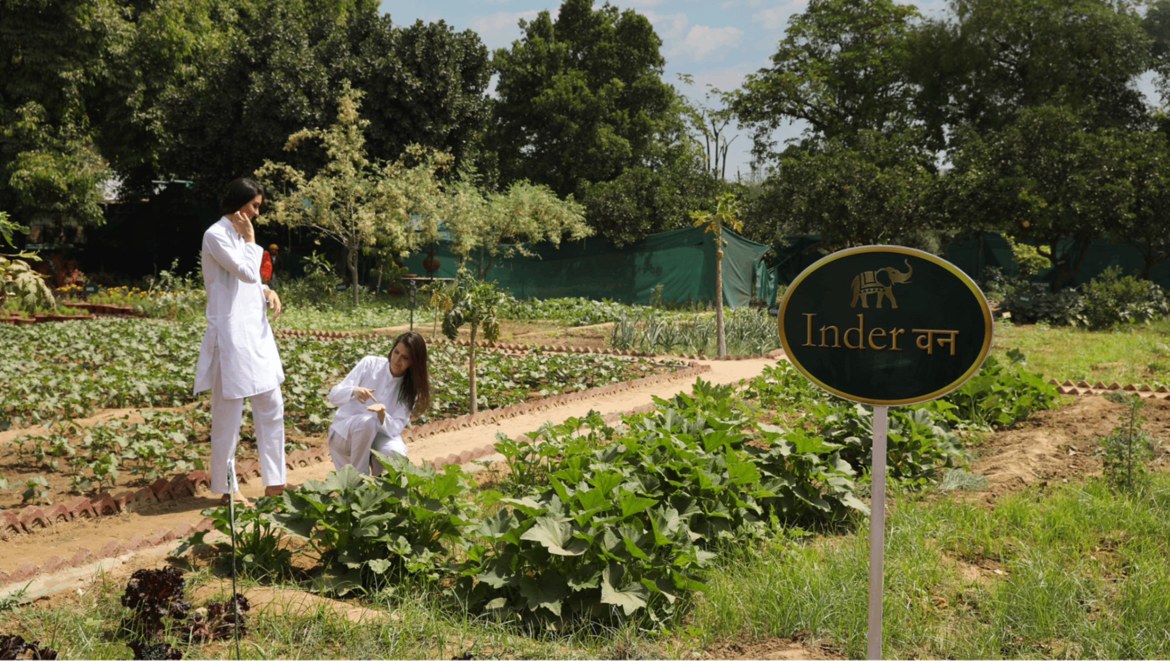 Organic Garden Tour