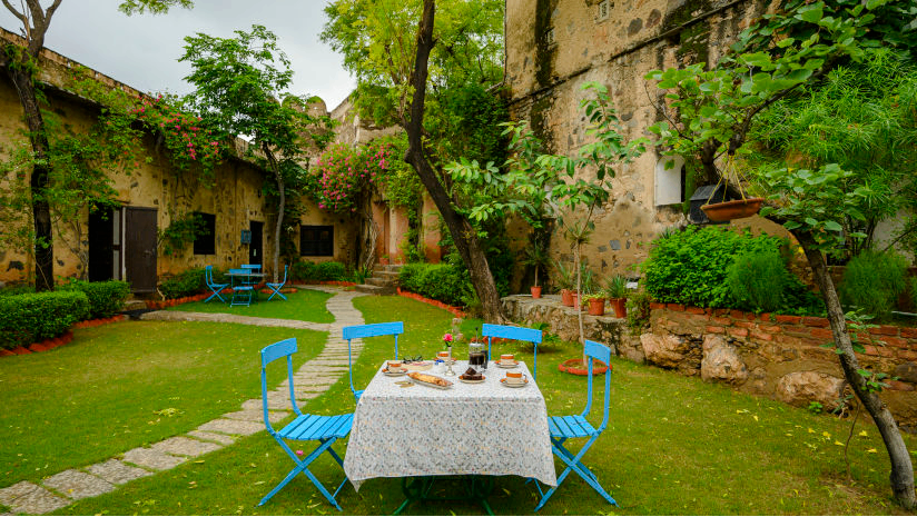 Lawn Side Dining