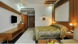 Deluxe Room with Garden View