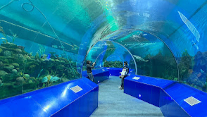 Science City Ahmedabad