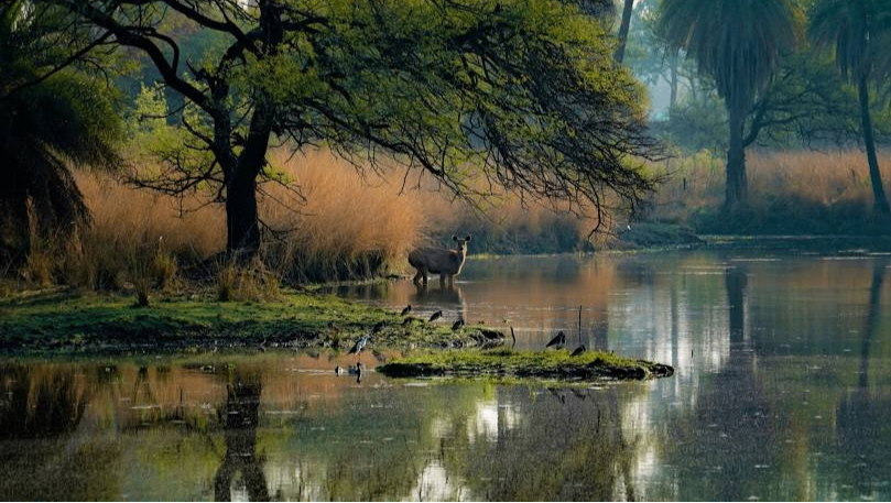 Van Vihar National Park Bhopal