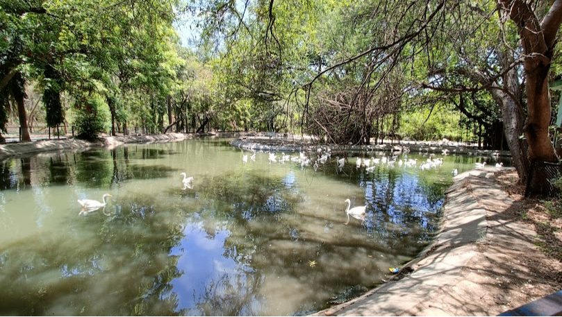 Sarthana Nature Park