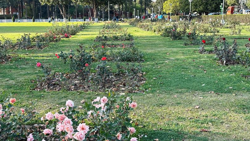 Zakir Hussain Rose Garden