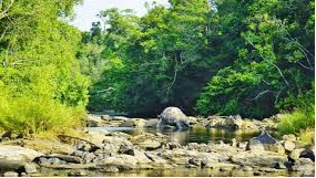 Wayanad 