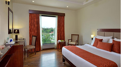 Deluxe Grand View Room
