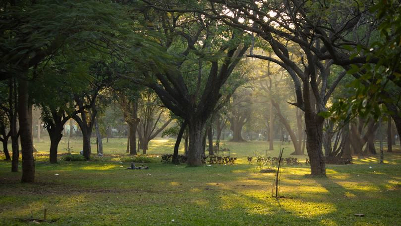 Shri Chāmarajendra (Cubbon) Park