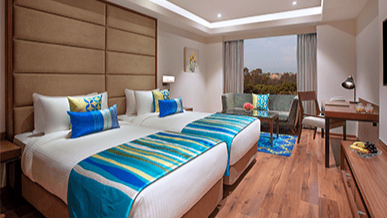  Executive Suite