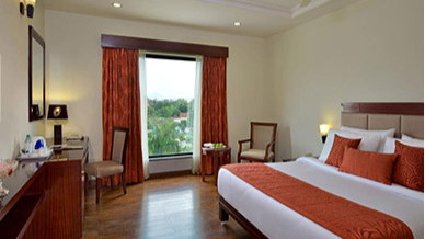 Deluxe Grand View Room