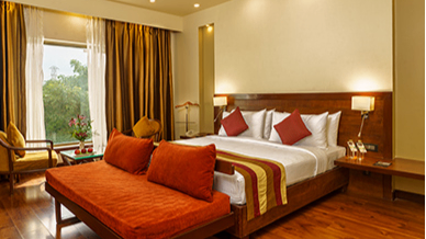 Exclusive Club Room