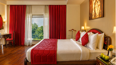 Suite Room