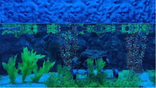 Jagdishchandra Bose Muncipal Aquarium