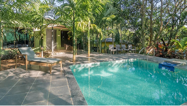 Pool Forest Suite