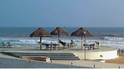 Beach View 