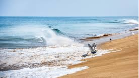 Madhavpur Beach