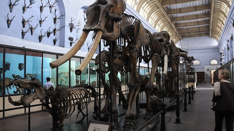 Indian Museum