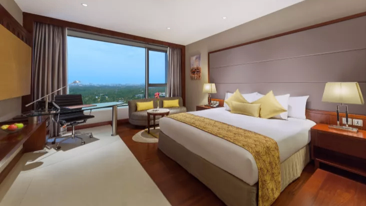 Deluxe King Bedroom