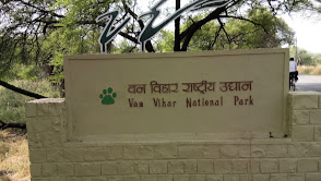 Van Vihar National Park Bhopal