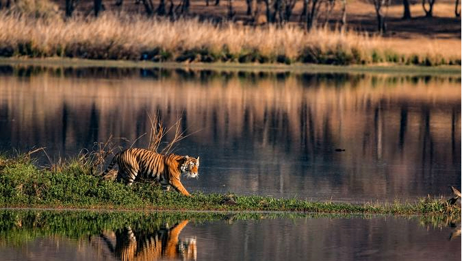 Kanha Tiger Reserve