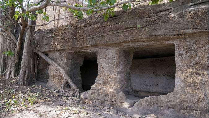 Bandhavgarh Fort