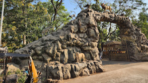 Gir National Park
