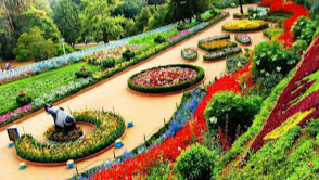 Government Rose Garden
