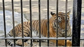 Sakkarbaug Zoological Park