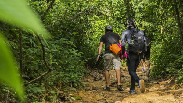 Jungle Trek