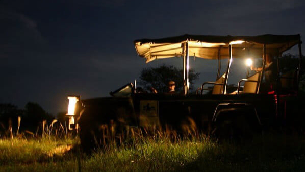 Night Drive