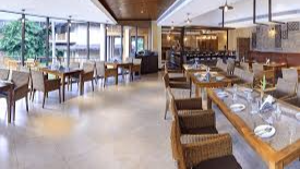 The Palm