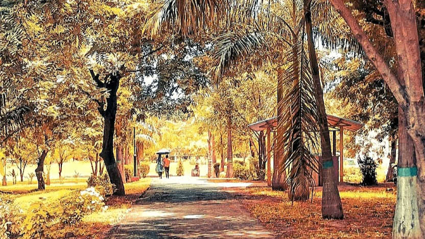 Nehru Traffic Park