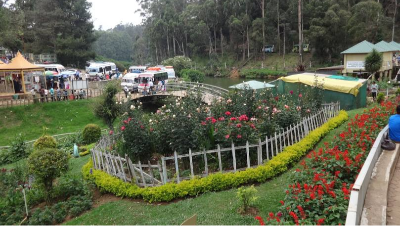 Government Rose Garden