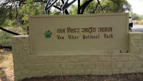 Van Vihar National Park Bhopal