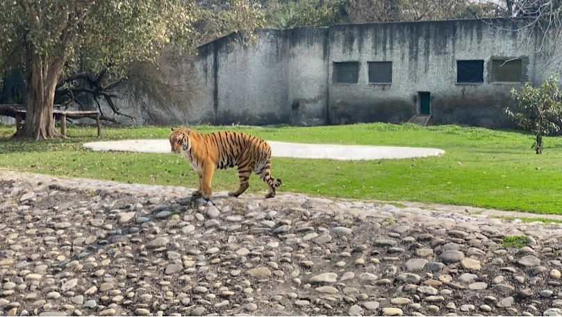 Mahendra Chaudhary Zoological Park