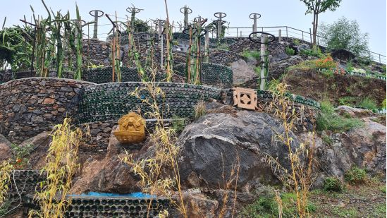 Organic Farm Visit