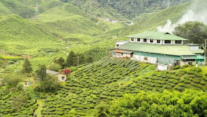 Munnar