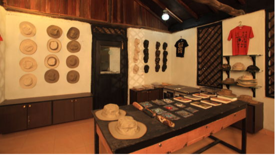 Souvenir Shop