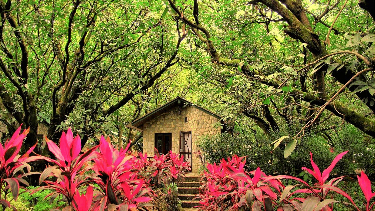 Superior Cottage