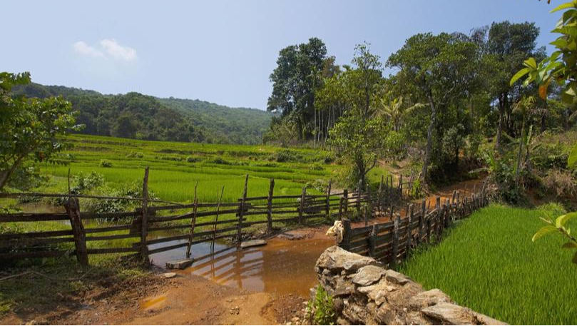 Anshi National Park