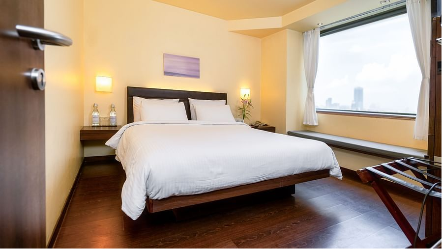 Suites 1 King Bed