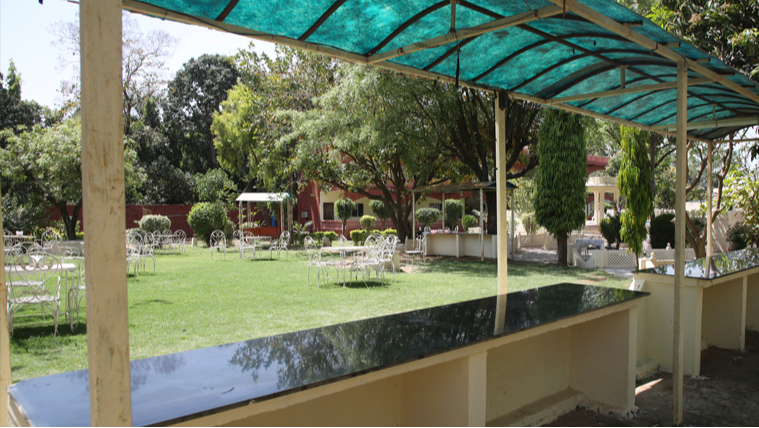 OPEN DINE IN