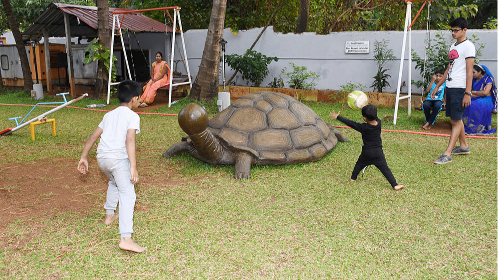 Outdoor Activity 