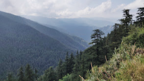 Green Valley